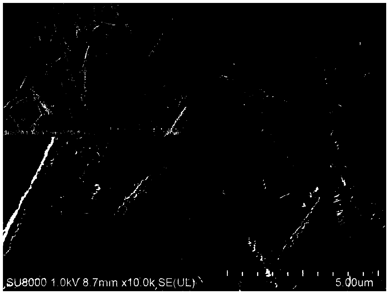 Method for preparing polyaniline micron/nano structure by using polylactic acid regulation and control