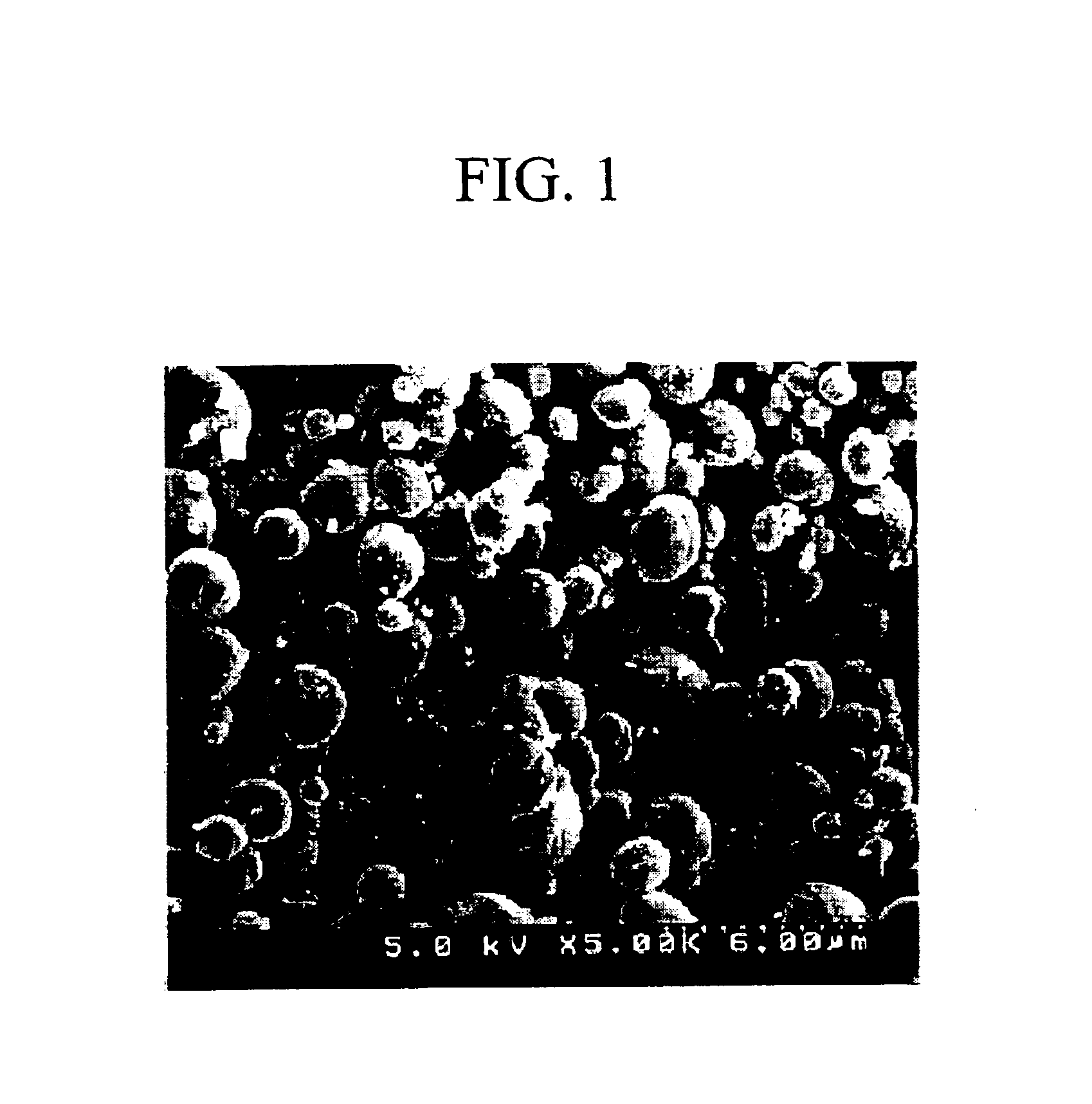Biodegradable polyester polymer and method for preparing the same using compressed gas