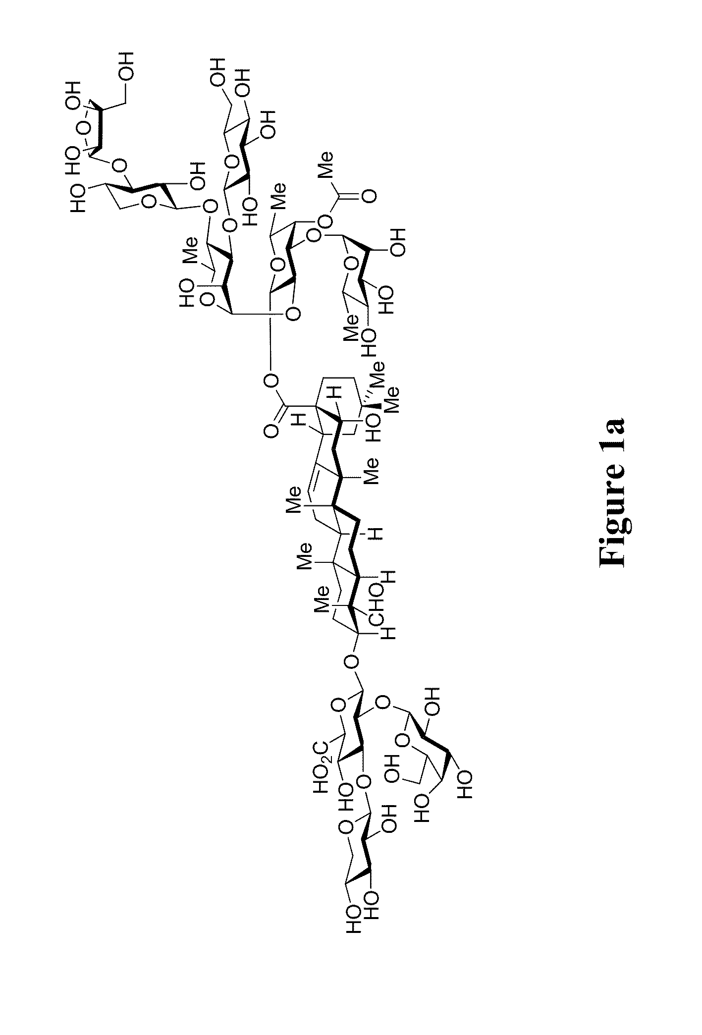 Triterpene saponins, methods of synthesis, and uses thereof