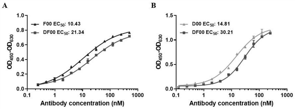Bispecific antibody for multiple myeloma (MM) and application of bispecific antibody