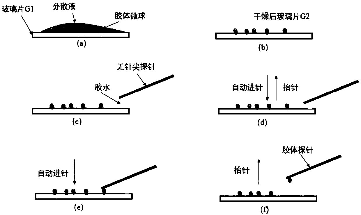 Rapid preparation method and application of colloidal probe