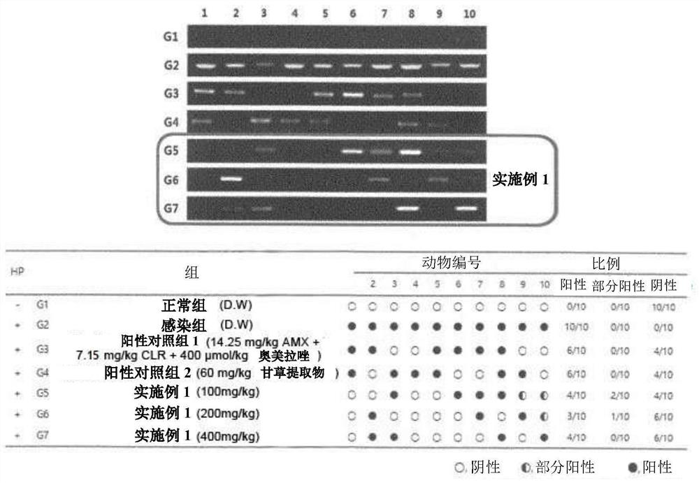 Lonicera japonica flower water extract-containing pharmaceutical composition for preventing or treating helicobacter pylori infection