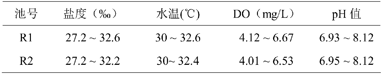 A high-density zero-change water exchange culture method for Penaeus vannamei based on nitrifying bacteria mass to regulate water quality