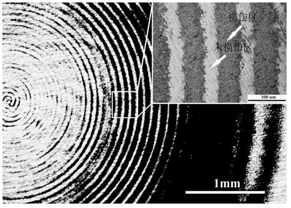 Method for rapidly preparing periodic corrugation structure on basis of premodulation laser