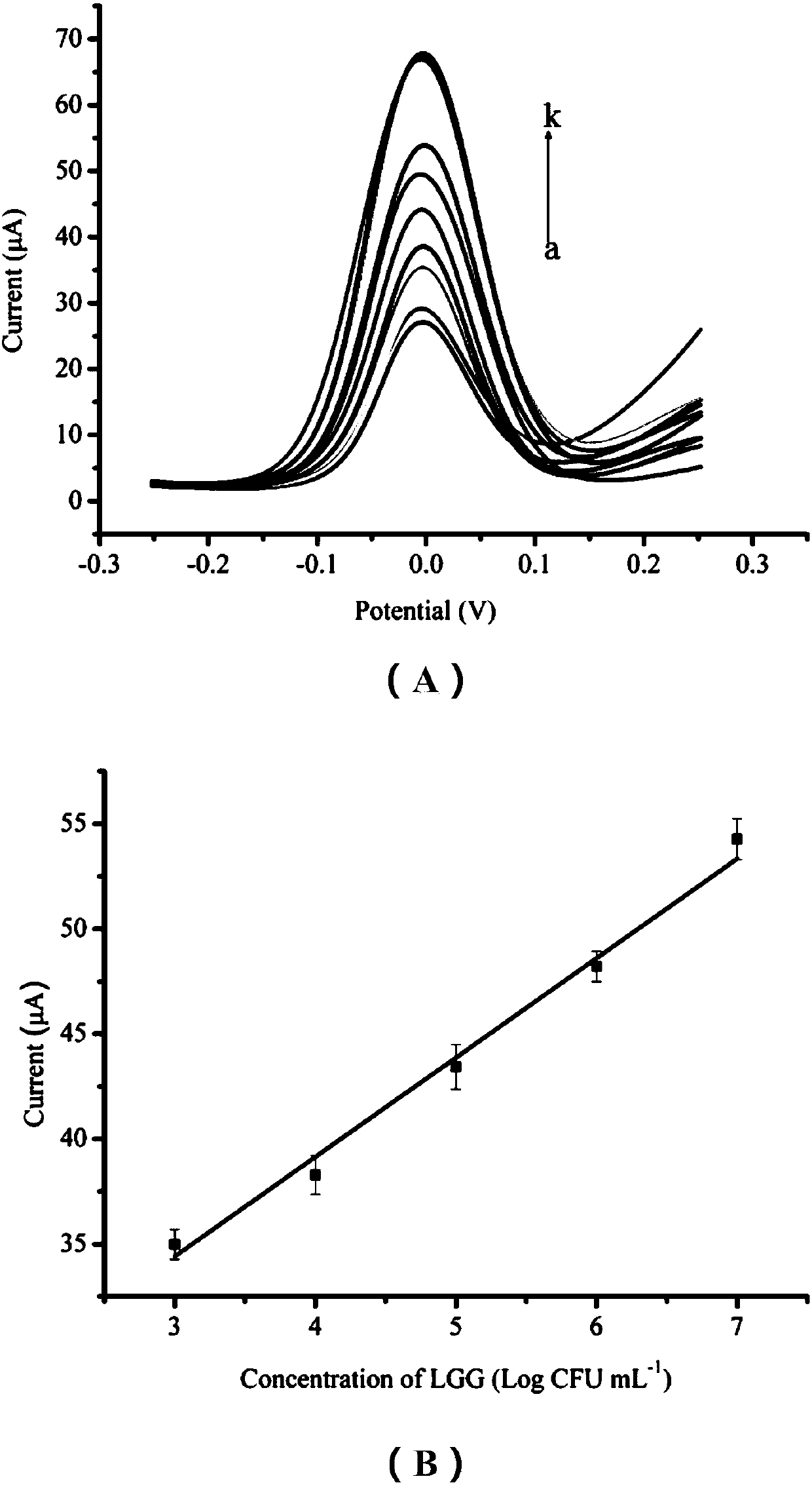 Lactobacillus rhamnosus immunomagnetic beads electrochemical sensor detection method