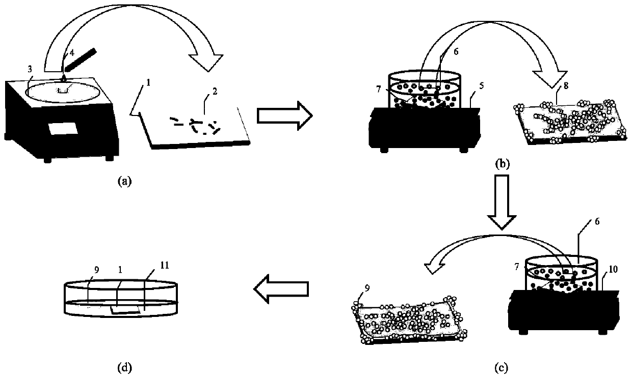 A method for temperature-controlled bubbling exfoliation of two-dimensional materials grown on sapphire substrates