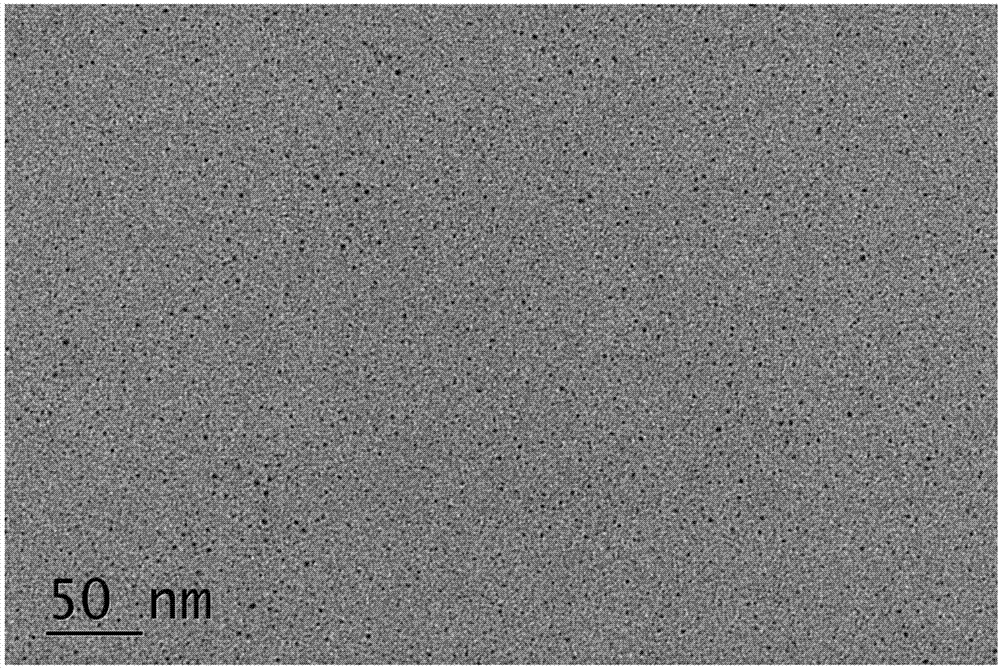 Preparation method of nitrogen-sulfur co-doped carbon quantum dot