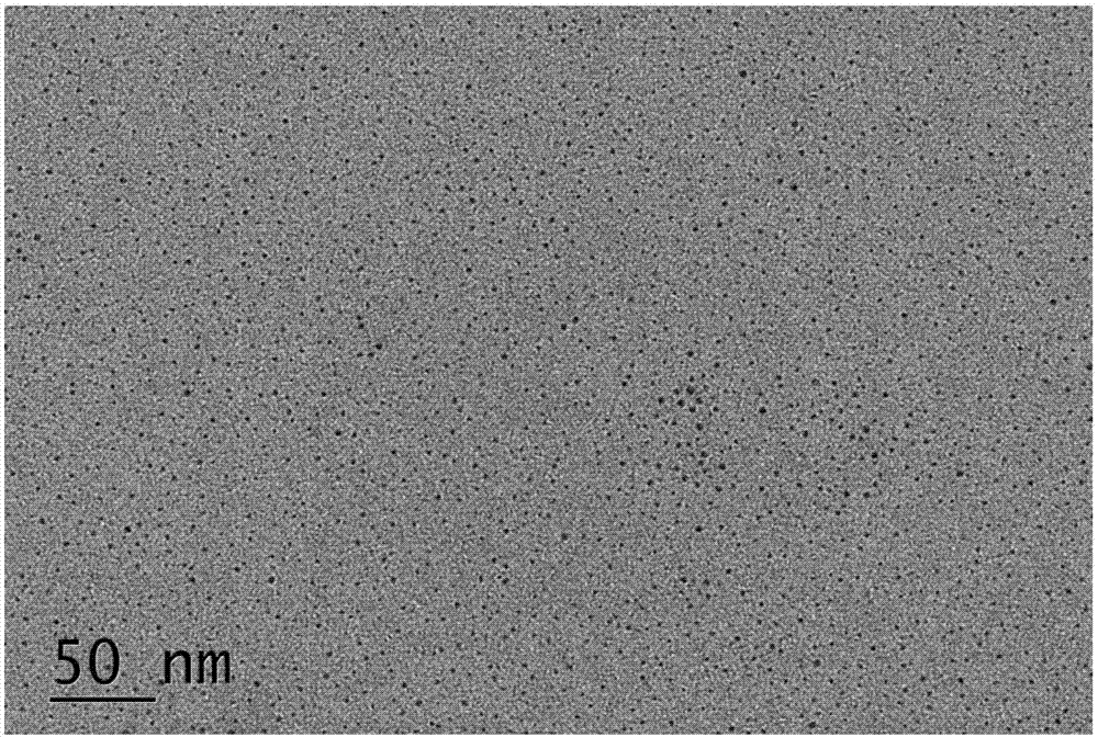 Preparation method of nitrogen-sulfur co-doped carbon quantum dot