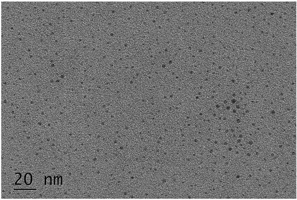 Preparation method of nitrogen-sulfur co-doped carbon quantum dot