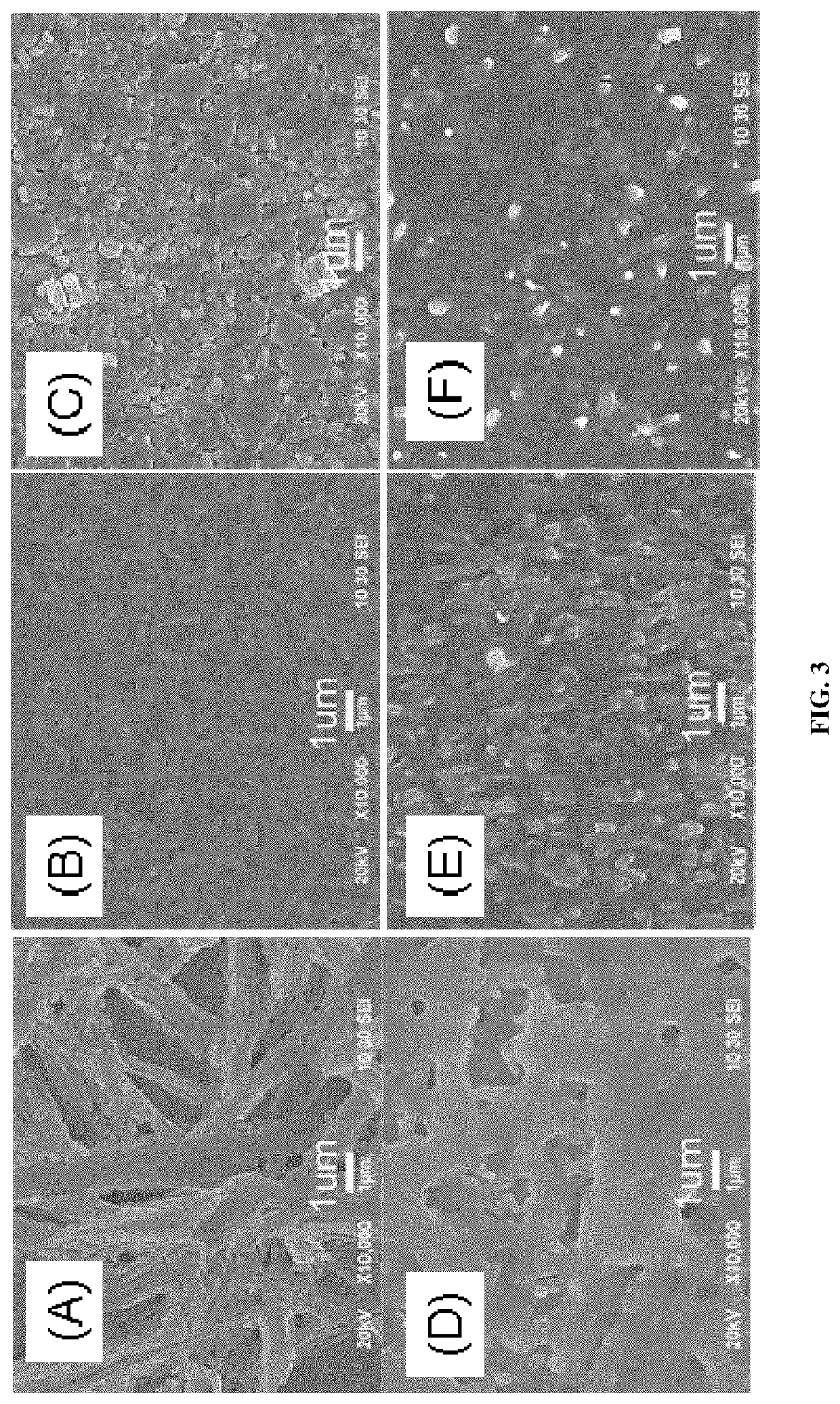 Crystal control and stability for high-performance perovskite solar cell