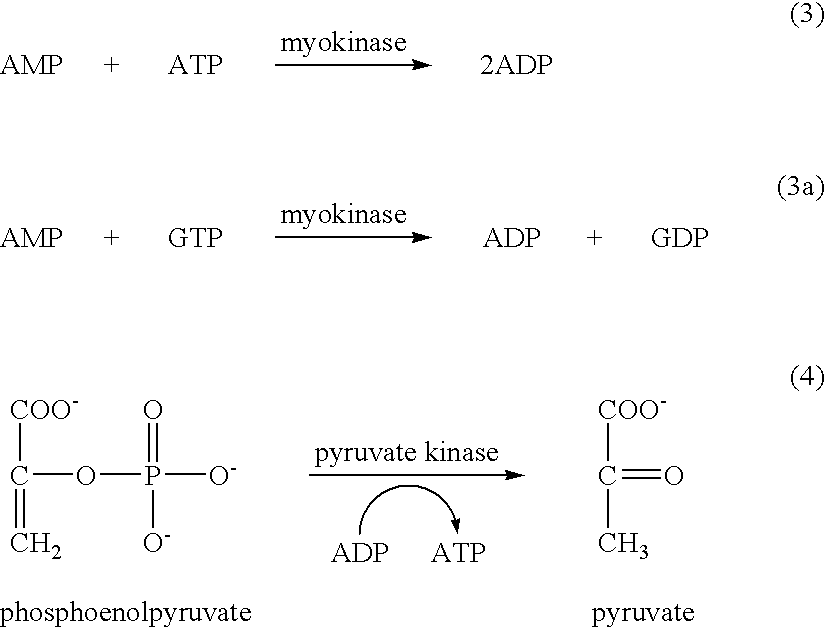 ATP-metry based on intracellular adenyl nucleotides for detecting and counting cells, use and implementing method for determining bacteria in particular devoid of atp
