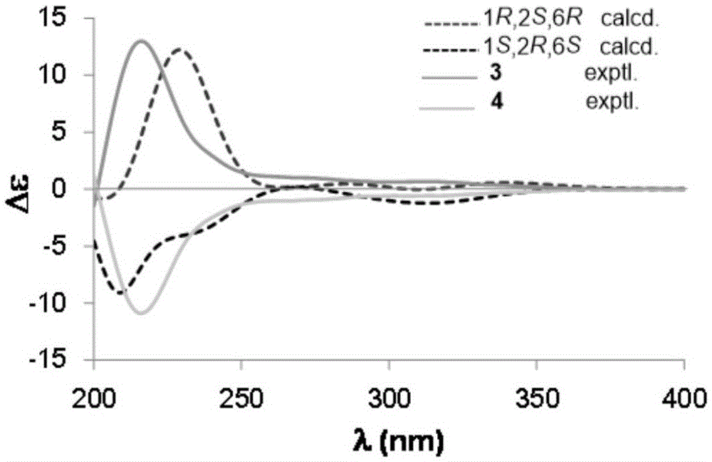 Compounds with EB (Epstein-Barr) virus and Kaposi's sarcoma-associated herpesvirus (KSHV) resisting functions in Hypericum japonicum, and preparation method and application thereof