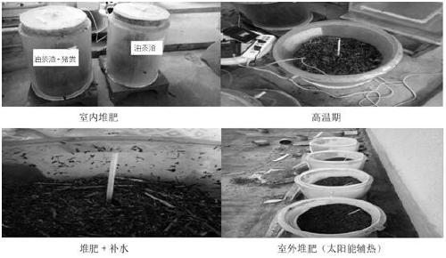 Tea-saponin-extracted Camellia oleifera cake meal residue organic fertilizer and preparation method thereof