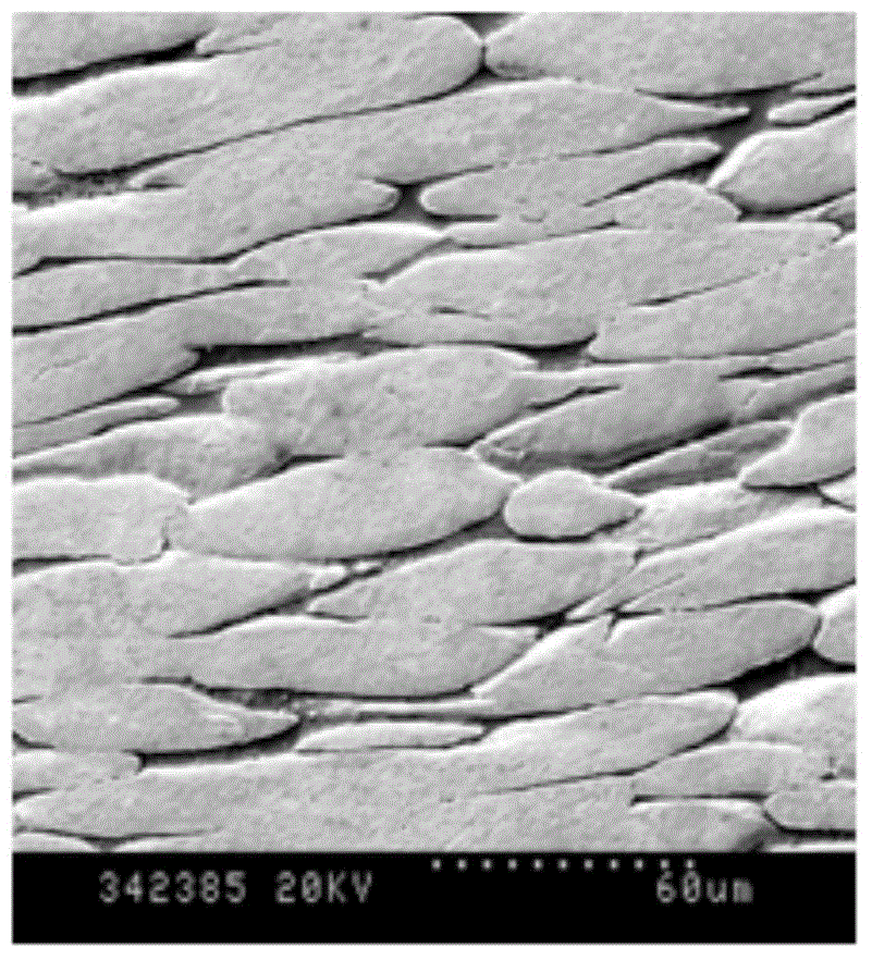 High specific gravity tungsten alloy material and preparation method thereof