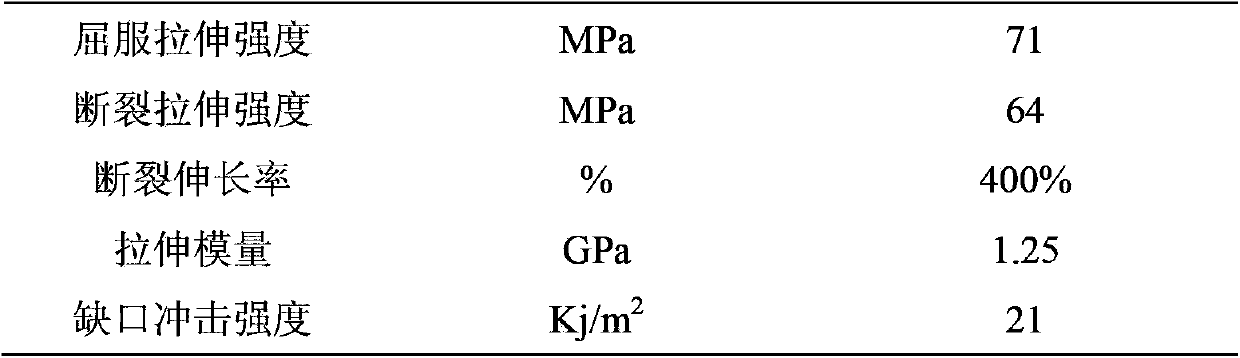 Tough nylon and preparation method thereof