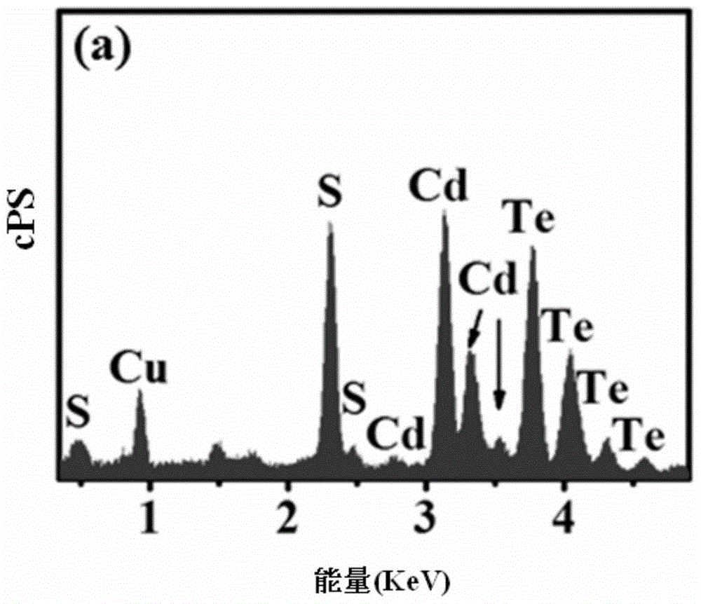 A kind of gourd string structure cadmium-tellurium heterojunction photocatalytic composite material and preparation method and use