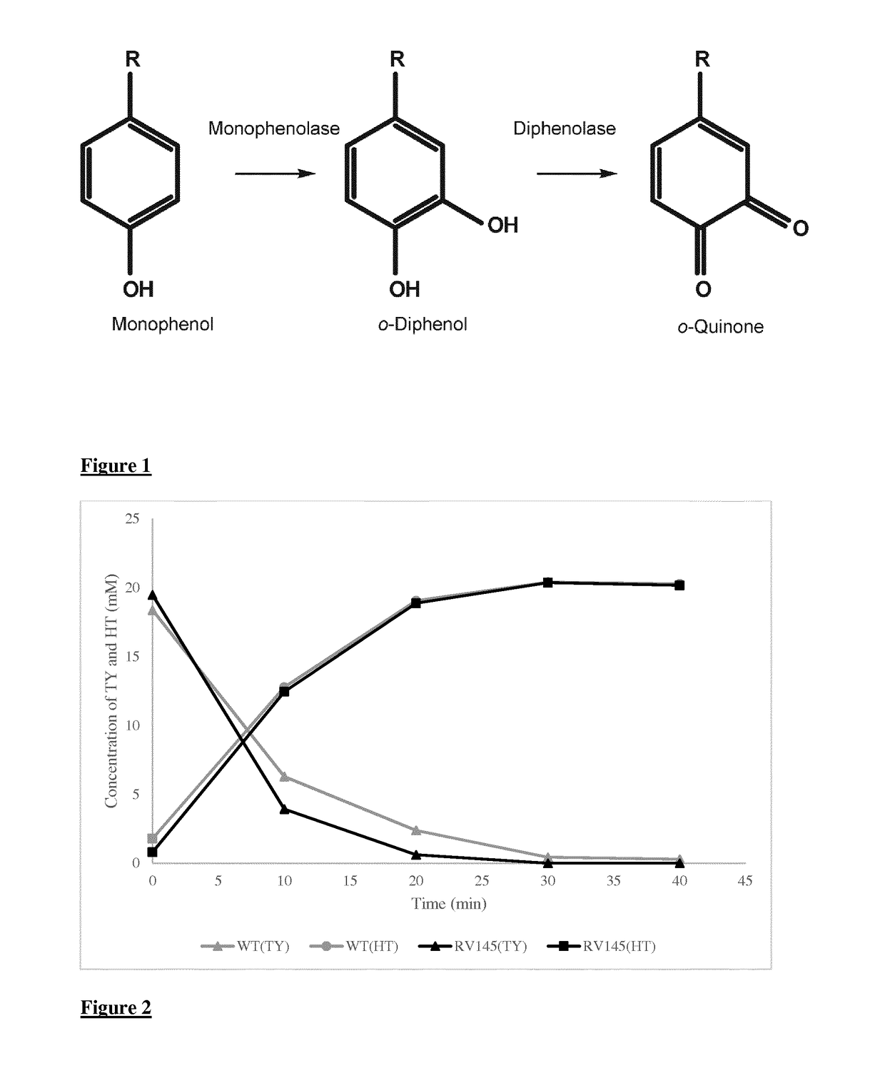 A method for the enzymatic conversion of a phenol substrate into a corresponding catechol product