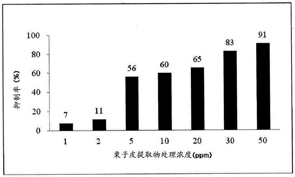 Health food or pharmaceutical composition comprising chestnut shell extract