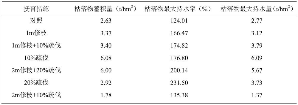 Tending method for improving water conservation capacity of artificial middle-age spruce forest land