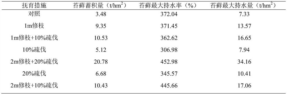 Tending method for improving water conservation capacity of artificial middle-age spruce forest land