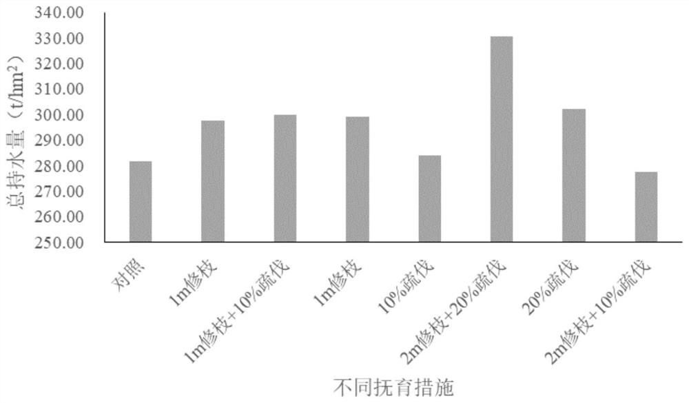 Tending method for improving water conservation capacity of artificial middle-age spruce forest land