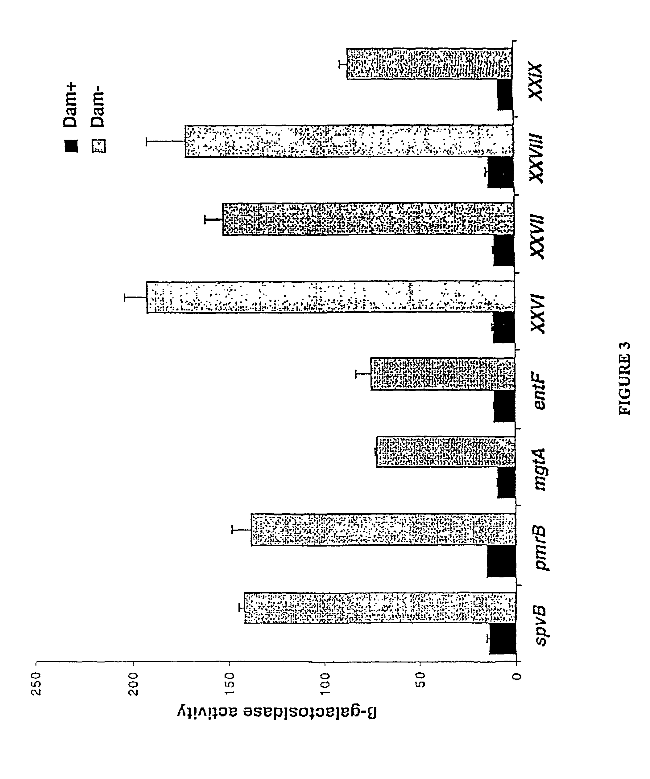 Method of creating antibodies and compositions used for same