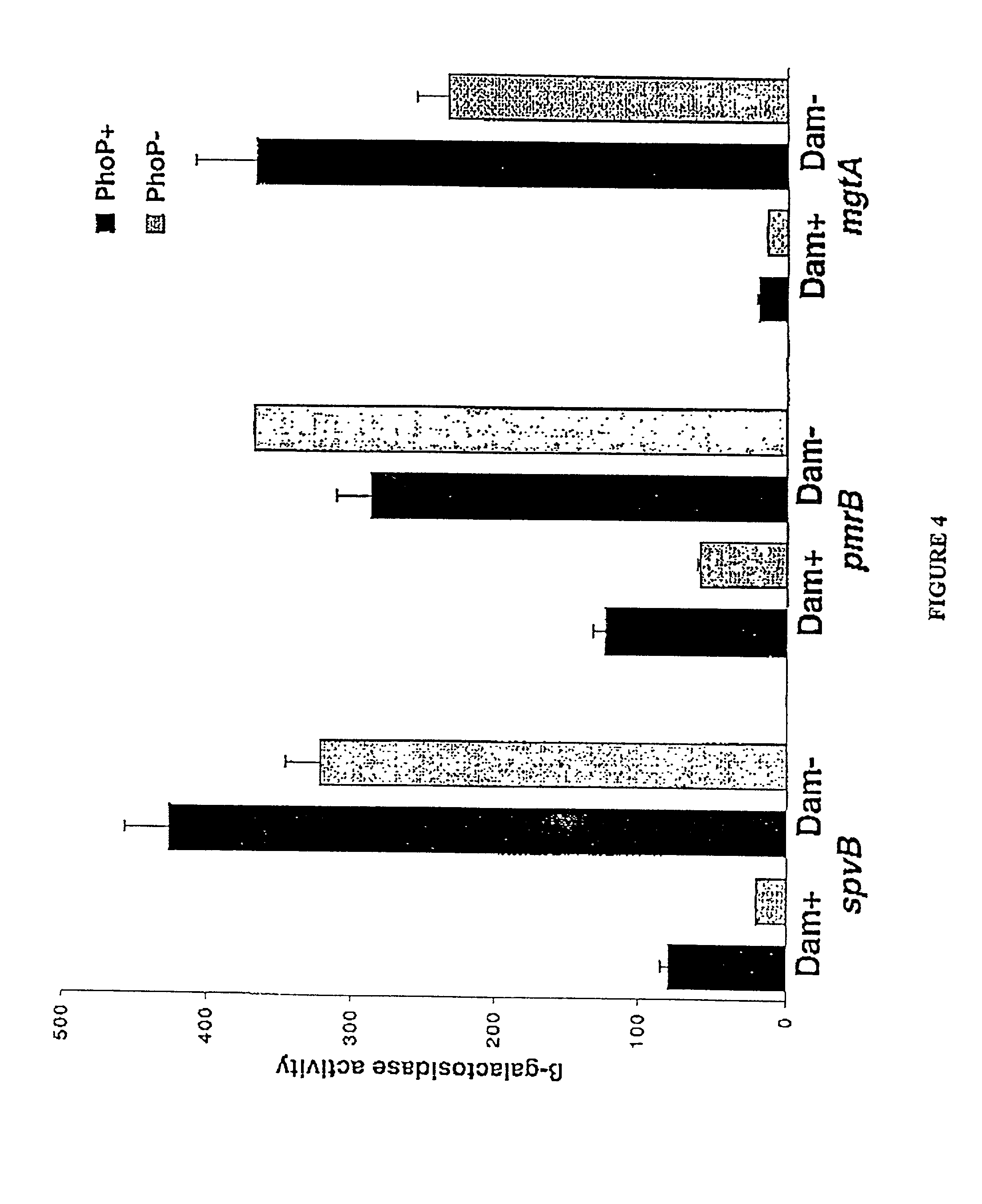 Method of creating antibodies and compositions used for same