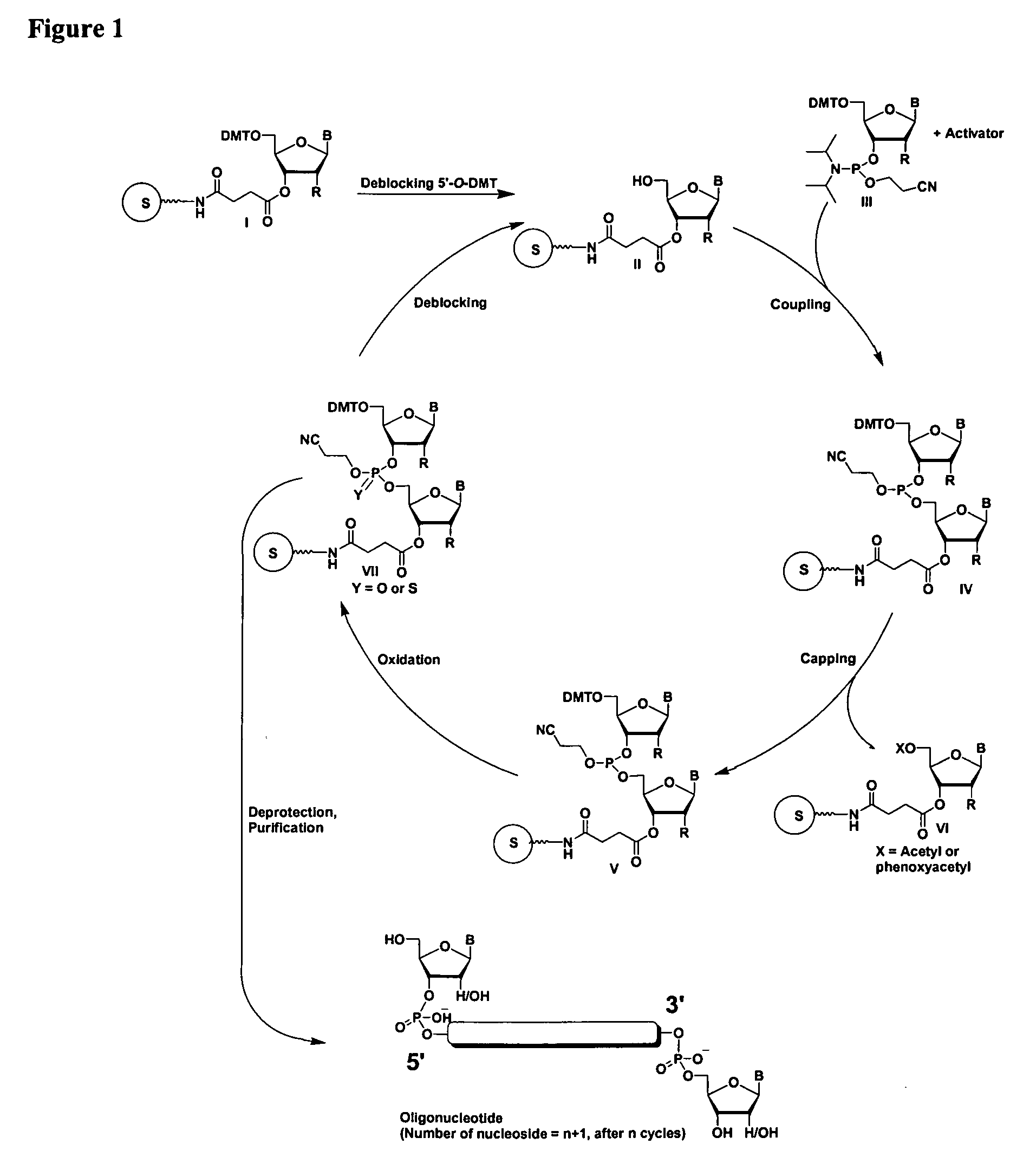 Oligonucleotides comprising a ligand tethered to a modified or non-natural nucleobase
