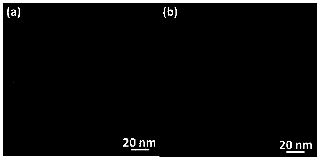 A kind of black phosphorous quantum dot photocatalyst with adjustable bandgap and its preparation method and application