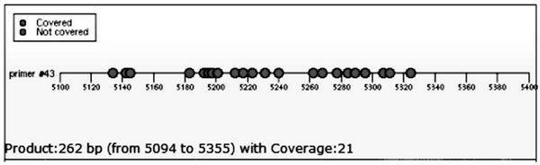 ENO1 gene promoter region methylation site and application thereof in preparation of kit for early diagnosis and prognosis evaluation of esophageal cancer