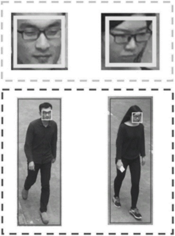 Method and equipment for common detection of human faces and human bodies