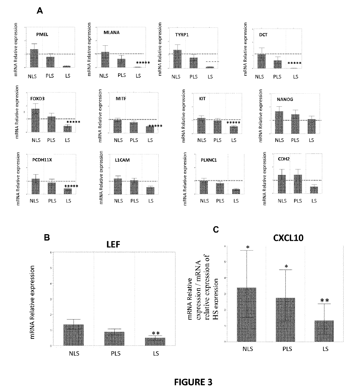 Gsk3b and uses thereof in the diagnostic and treatment of hypopigmentation disorders