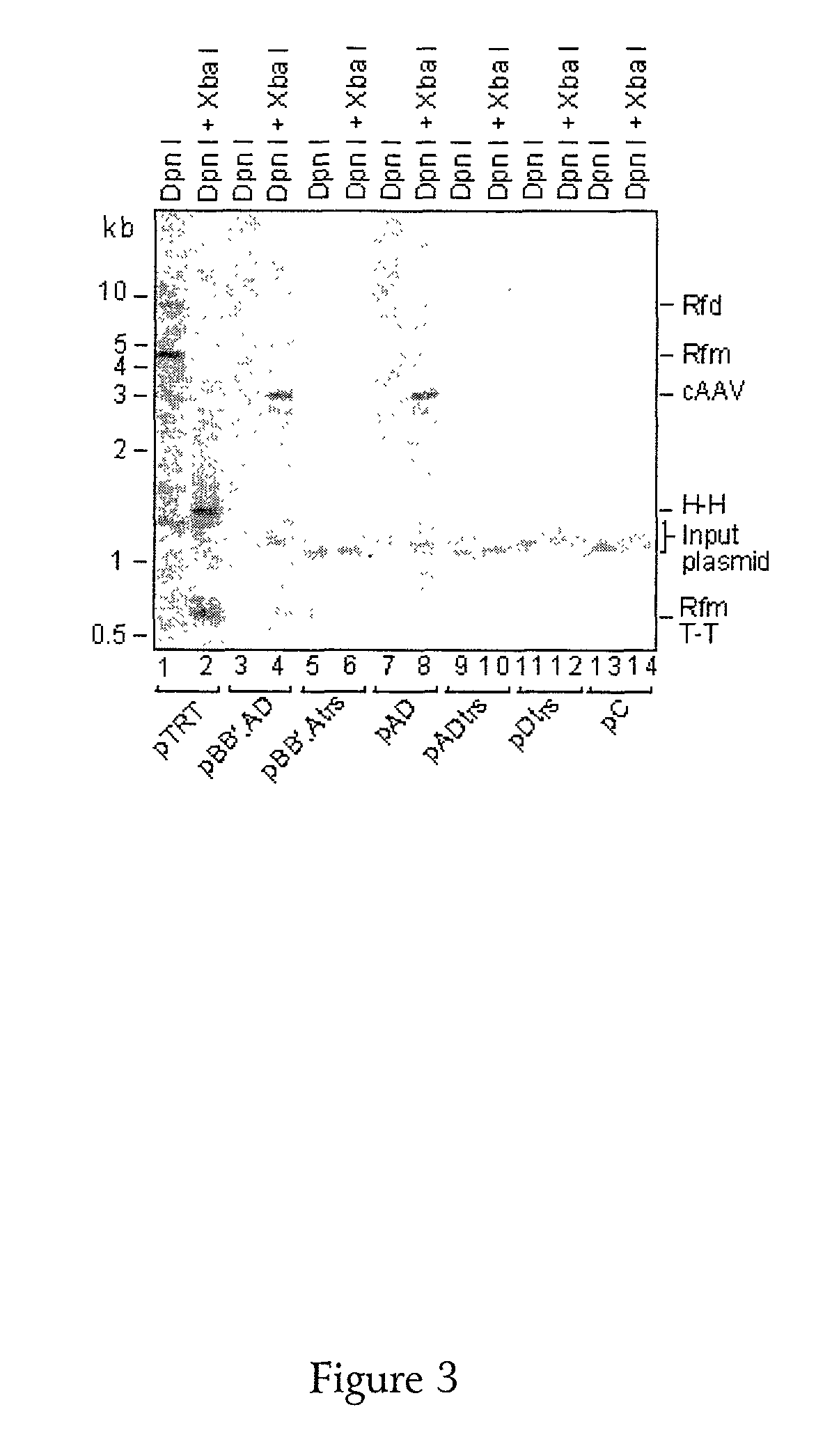 Method for generating replication defective viral vectors that are helper free