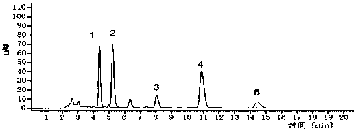 Rheum tanguticum Maximin producing area processing and processing production integrated process