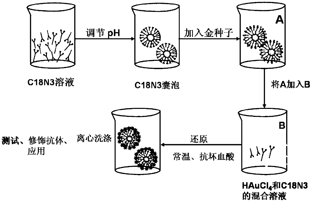 Nanometer golden flower and preparation method and application of nanometer golden flower