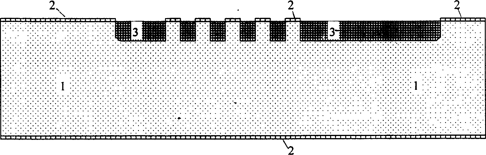 Microphone chip and its preparation method