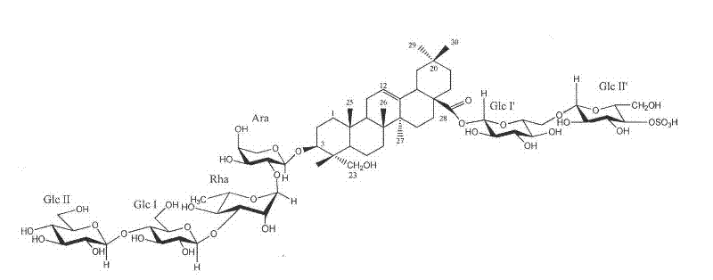 New honeysuckle lonimacranthoide and preparation method and application thereof