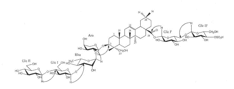 New honeysuckle lonimacranthoide and preparation method and application thereof