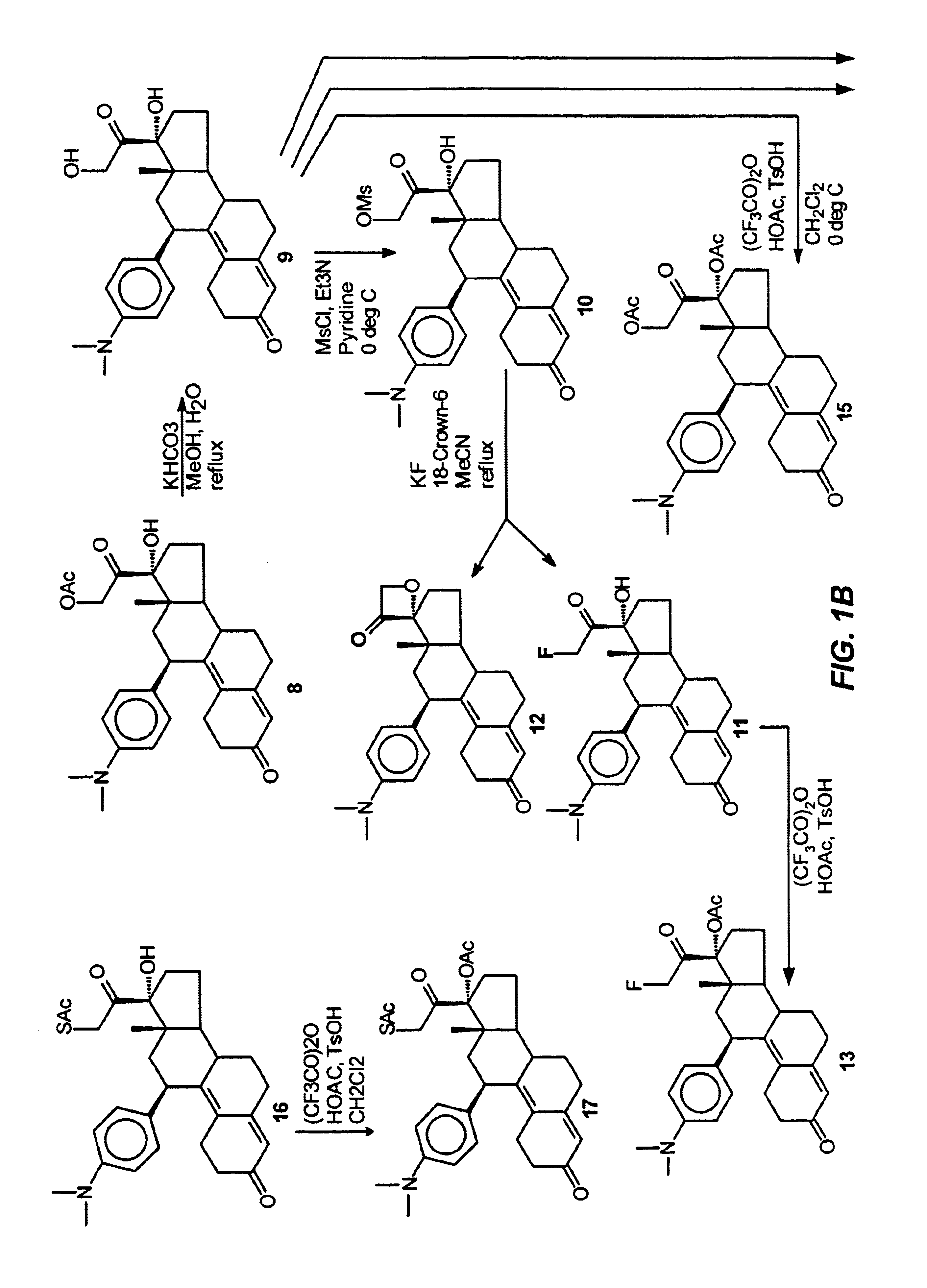 21-substituted progesterone derivatives as new antiprogestational agents