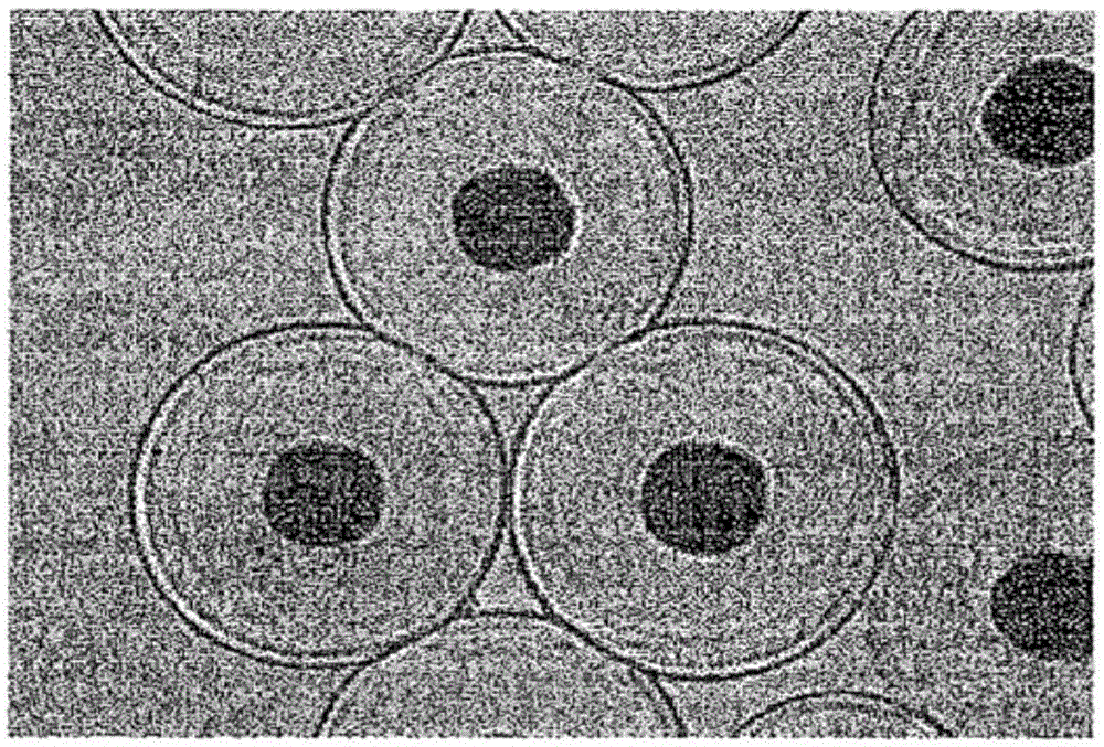 Polyester-based composite fiber with excellent thermal insulation and color rendering properties