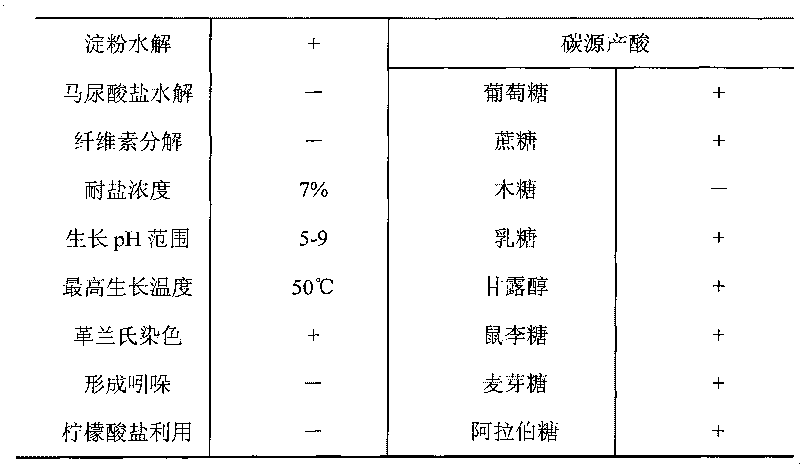 Bacillus subtilis and application thereof in biocatalysis production of niacinamide