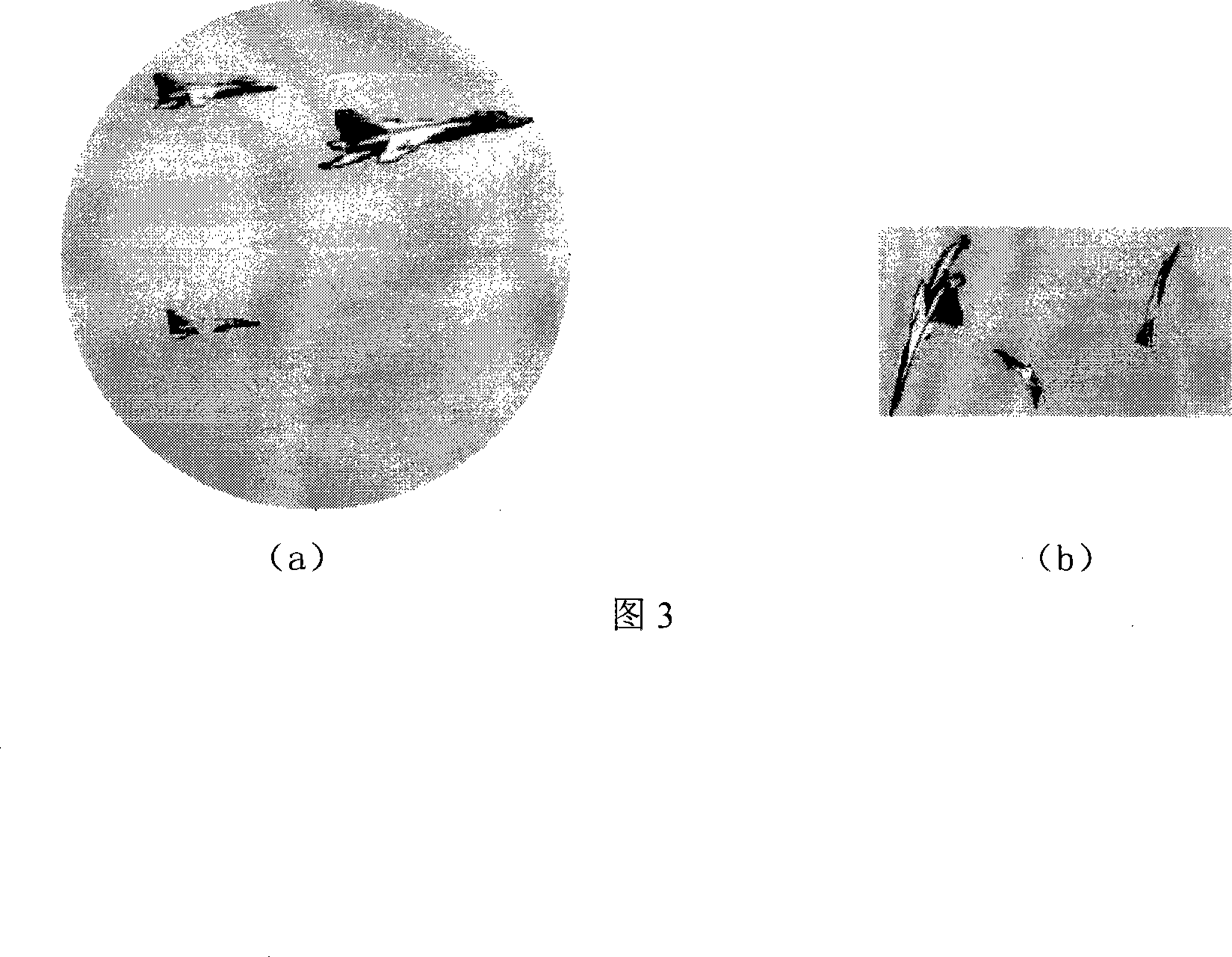 Method for improving the computing speed of the horizontal set