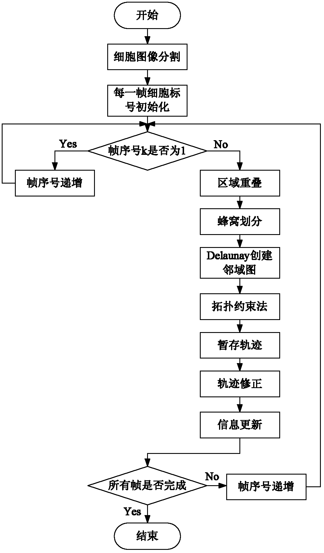Cell tracking method based on correction by cellular partition combined with multi-frames and original image feedback