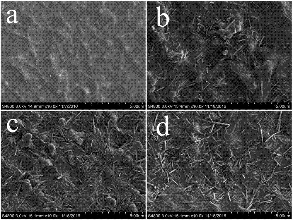 Preparing method of high-performance graphene oxide/halloysite nanotube composite water-oil separation film
