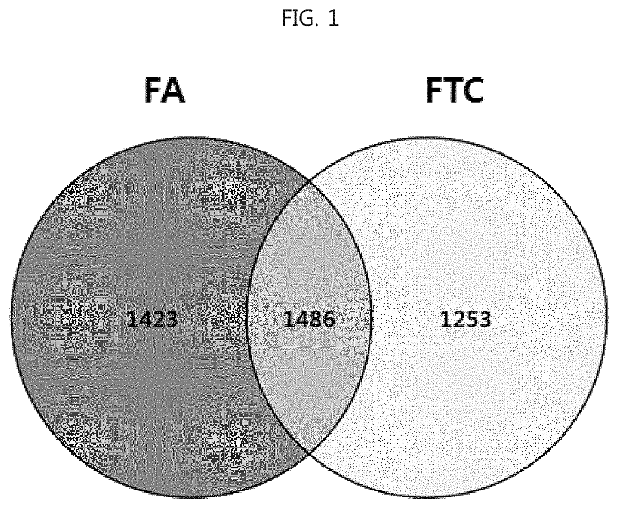 Composition for diagnosing follicular thyroid carcinoma using expression level of aminoacyl-tRNA synthetase-related protein and method for detecting diagnostic marker