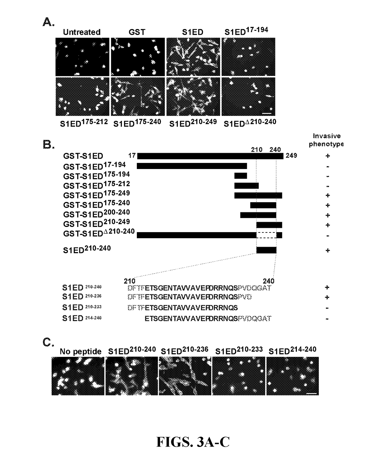 Syndecan peptides and polypeptides as inhibitors of vascular endothelial growth factor receptor-2 (vegfr2) and very late antigen-4 (vla-4)