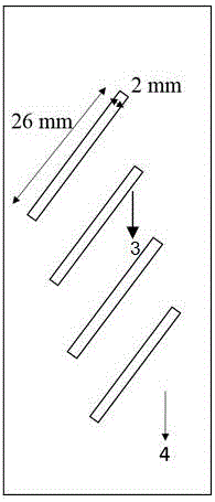 Mounting method used in quantitative sample survey of phytoplankton and protozoon