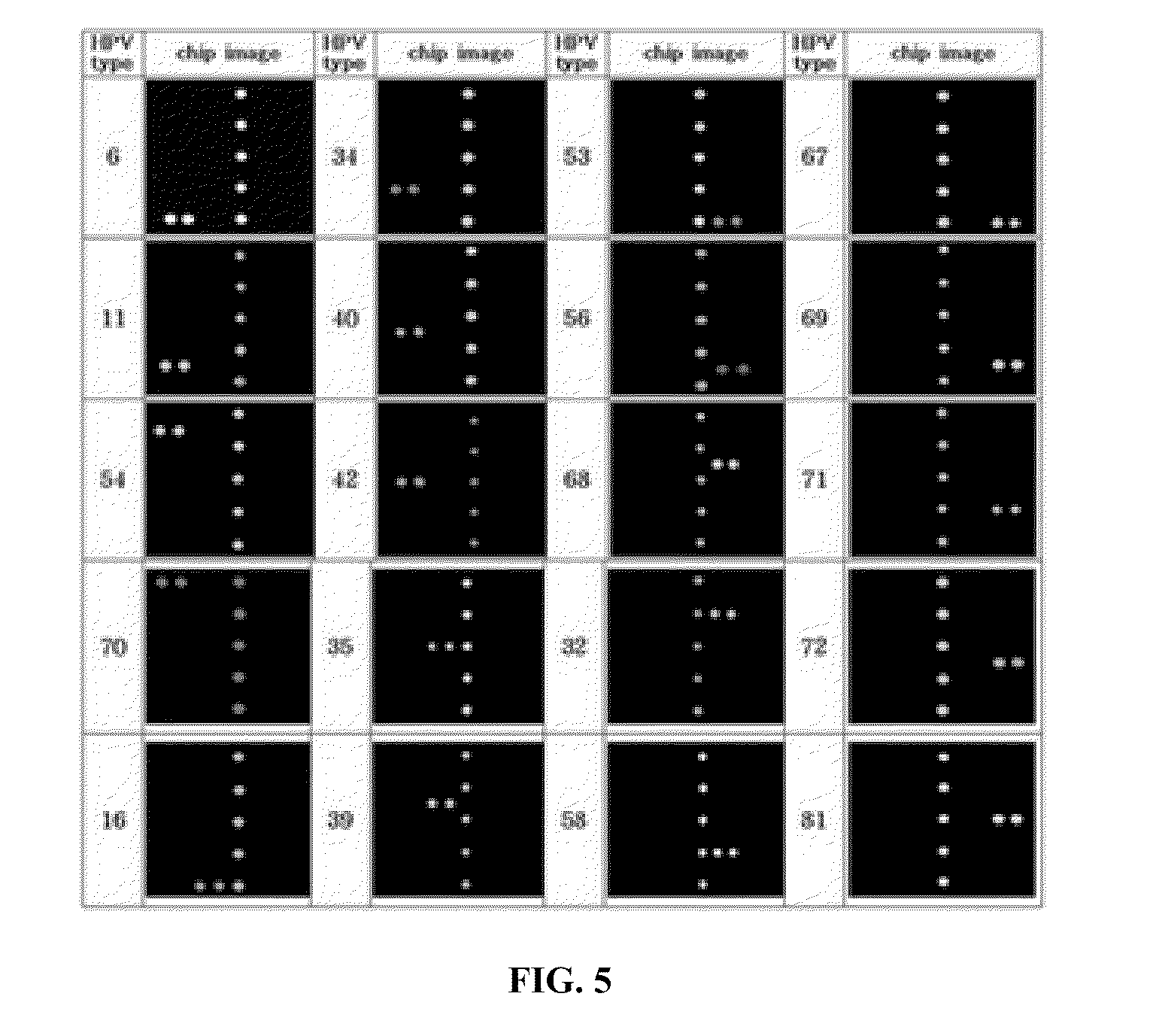 Primer, probe, DNA chip containing the same and method for detecting human papillomavirus and detection kit thereof