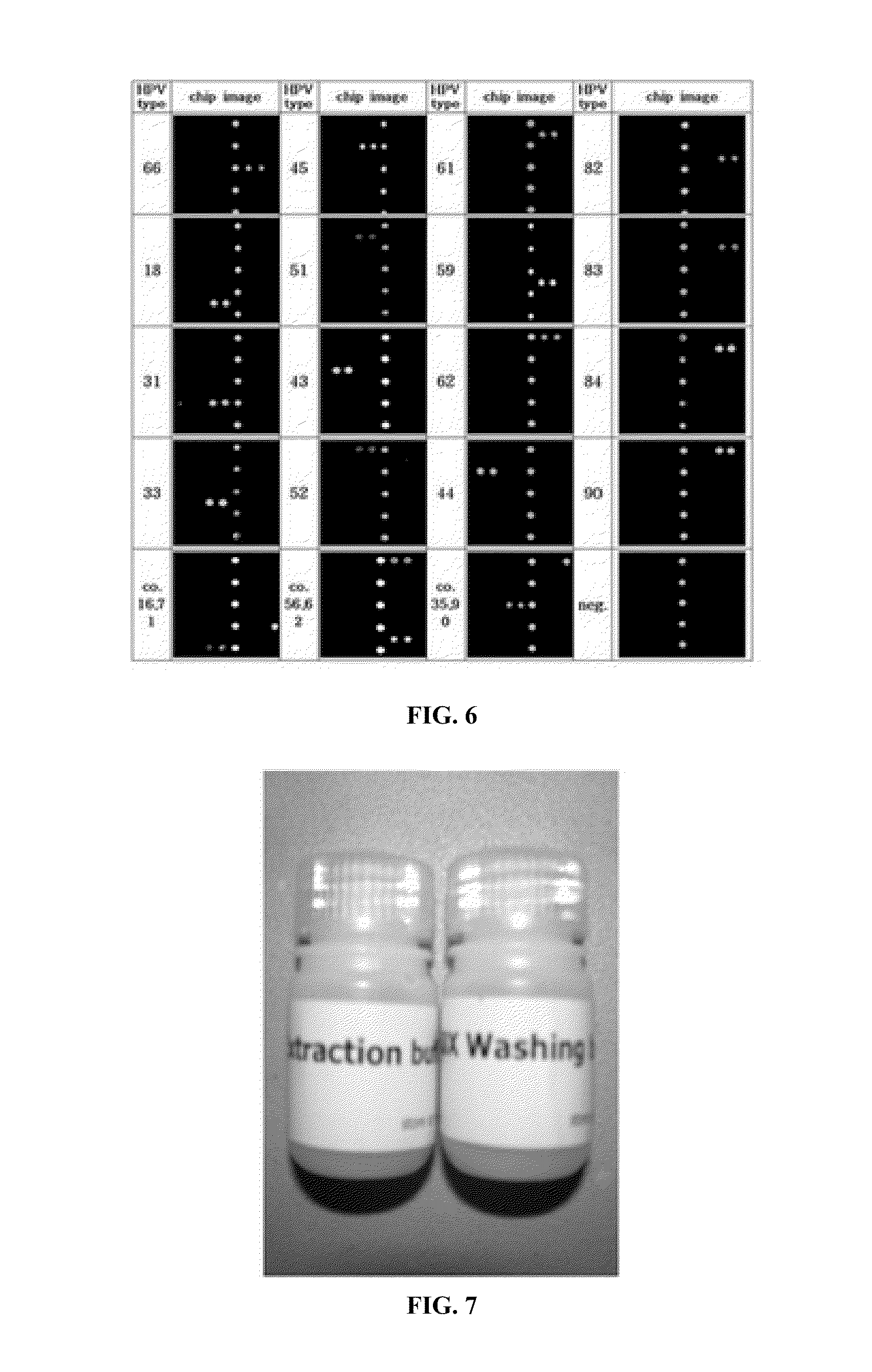 Primer, probe, DNA chip containing the same and method for detecting human papillomavirus and detection kit thereof