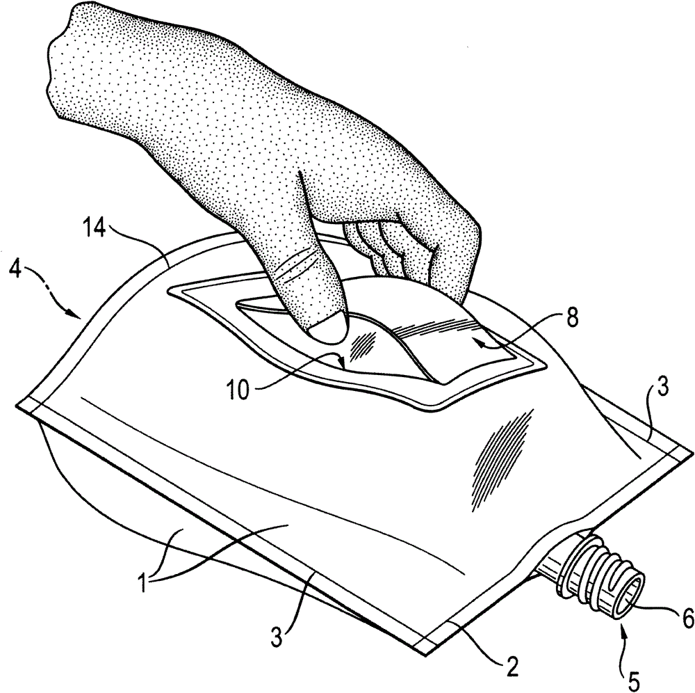 Stand-up pouch made of heat-sealable plastic film